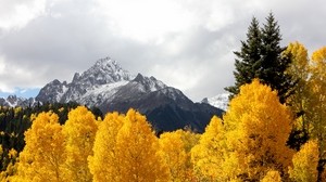 Berge, Bäume, Schnee, Gipfel, Herbst