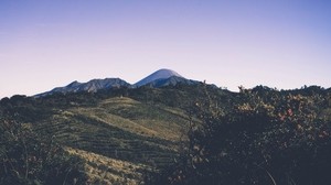 mountains, trees, grass, sky - wallpapers, picture