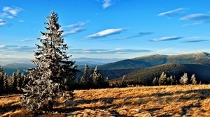 montañas, árboles, hierba, otoño, cielo