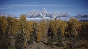 mountains, trees, peaks, autumn, conifers, leaves, yellow, clouds