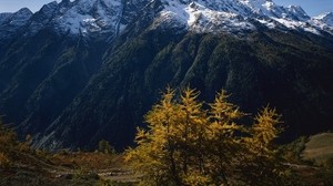 mountains, trees, peaks, autumn, snow, leaves, yellow, greatness