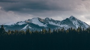 mountains, trees, peaks, snow, sky - wallpapers, picture