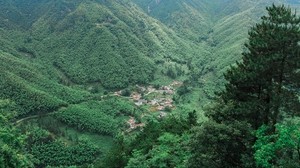 mountains, trees, top view