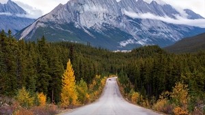 mountains, road, distance, turn - wallpapers, picture