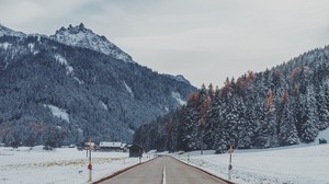 mountains, road, snow, marking, trees