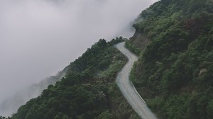 mountains, road, fog, forest, slope, height - wallpapers, picture