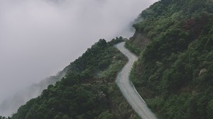 montagne, strada, nebbia, bosco, pendio, altezza