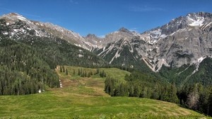 mountains, hills, trees, grass, landscape - wallpapers, picture