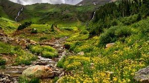 山，石头，溪流，花朵，绿色，杂音，草，浮雕