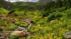 montagne, pietre, ruscelli, fiori, verdi, mormorio, erba, rilievo