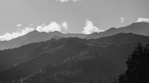 mountains, forest, black and white (bw), fog, landscape