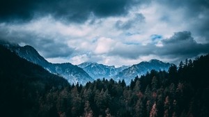 mountains, forest, trees, clouds