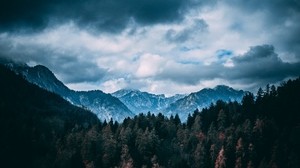 montañas, bosques, árboles, nubes