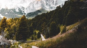 mountains, forest, track, landscape, nature