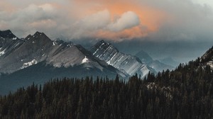 mountains, forest, clouds, mountain range, landscape - wallpapers, picture