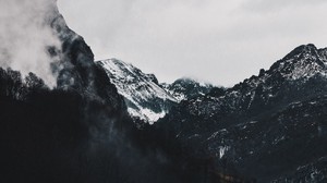 berge, wald, nebel, landschaft, alpin