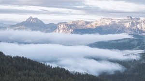 mountains, forest, fog, clouds, landscape