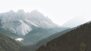 mountains, forest, fog, slopes, trees - wallpapers, picture