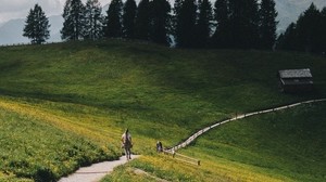 mountains, meadow, path, hills, trees, landscape - wallpapers, picture