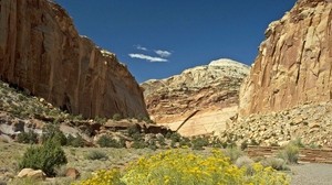 montañas, cielo, flores, hierba, verano