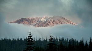 mountains, sky, trees, fog