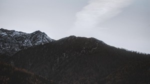 mountains, clouds, sky, peak, trees - wallpapers, picture