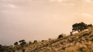 montañas, nubes, niebla, pico, altura, paisaje