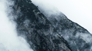 mountains, clouds, fog, slopes, vegetation - wallpapers, picture