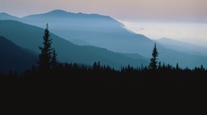 mountains, outlines, trees, conifers, height, clouds, fog, dusk