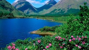mountains, the lake, flowers, slopes, greens, grass, summer