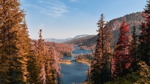 mountains, lake, landscape, needles, fir - wallpapers, picture
