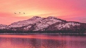 mountains, lake, sunset, horizon, birds