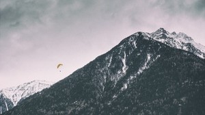 mountains, paraglider, peak, snowy, trees - wallpapers, picture