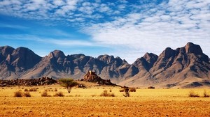 mountains, desert, tree, bushes - wallpapers, picture