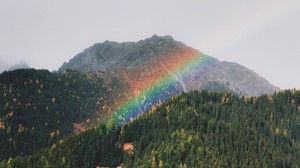 mountains, rainbow, landscape, forest, trees