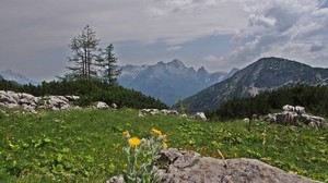 mountains, rocks, trees, landscape - wallpapers, picture