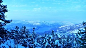 mountains, snow, trees, winter, top view