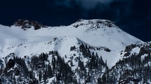 montagne, neve, alberi, in alto - wallpapers, picture