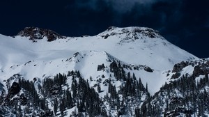 Berge, Schnee, Bäume, oben