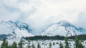 mountains, snow, peaks, trees, fog
