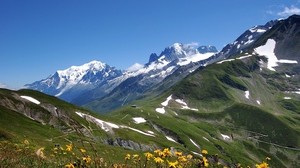 mountains, snow, peaks, sky, grass, flowers