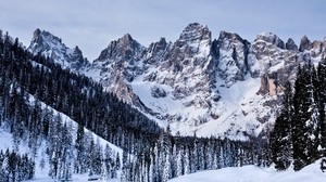 山、雪、雪、木、冬、イタリア