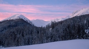 mountains, snow, winter, snowy, trees, mountain landscape, Switzerland