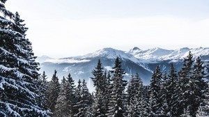 montañas, nieve, invierno, picos, nevado, suiza