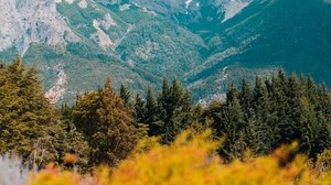 mountains, grass, blur, flowers, bariloche, argentina - wallpapers, picture