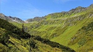 montañas, hierba, tirol, panorama