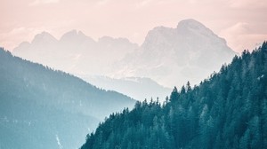 mountains, fog, trees, sky, slope - wallpapers, picture
