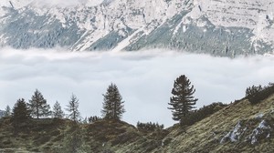 mountains, fog, trees, foot, hills