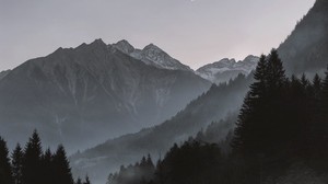 mountains, fog, trees - wallpapers, picture