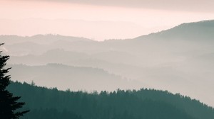 mountains, fog, sky, trees, dawn - wallpapers, picture